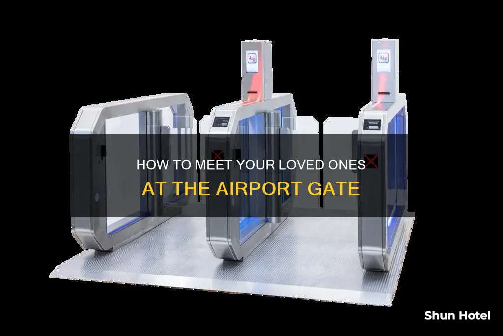 can i go through airport security to meet someone