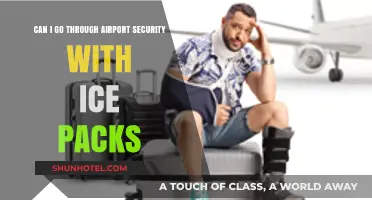 Airport Security: Ice Packs, Allowed or Not?