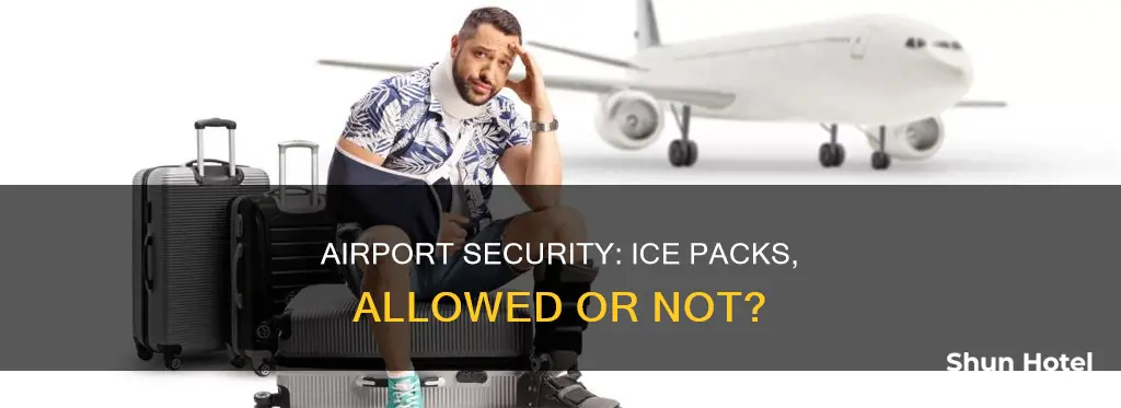 can i go through airport security with ice packs