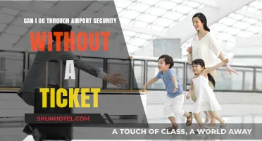 How to Navigate Airport Security Without a Ticket