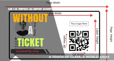 Lax Airport Security: Can I Get Through Without a Ticket?