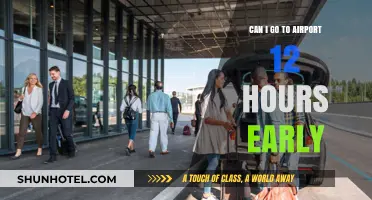 Airport Arrival: How Early is Too Early?