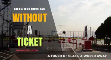 Accessing Airport Gates: Ticketless Entry Explored