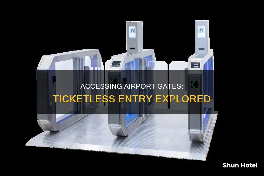can i go to an airport gate without a ticket