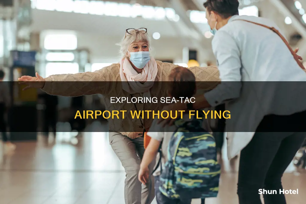 can i go to sea tac airport without flying anywhere