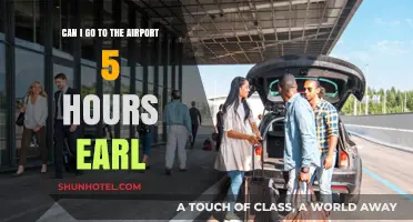 Early Birds: Navigating Airport Arrival Times