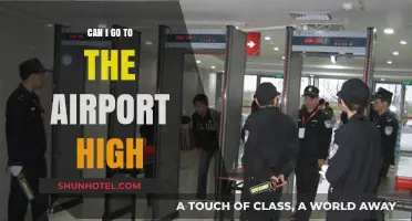 Stay Alert: Don't Go to the Airport High