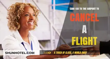 How to Cancel a Flight: Airport Visit