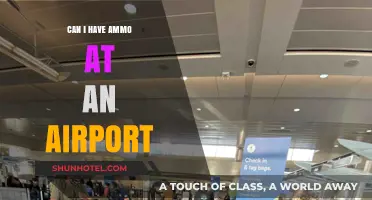 Airports and Ammo: What You Need to Know
