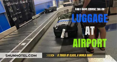 Cruise Tags: Airport Luggage Essentials?