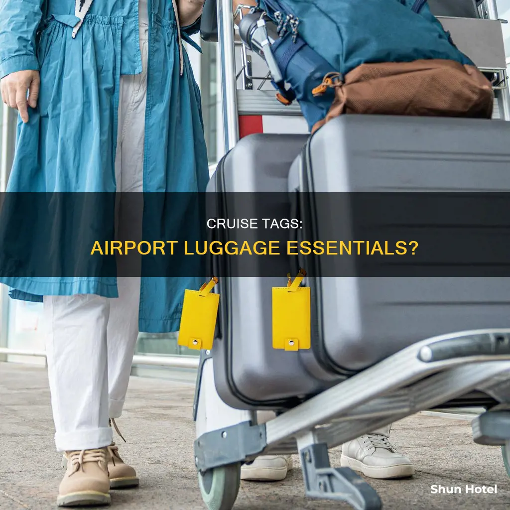 can i have cruise tag on luggage at airport
