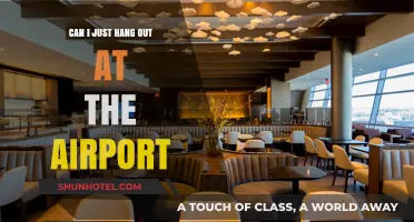 Exploring Airport Lounges: A Traveler's Guide