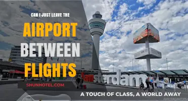 Exploring the City Between Connecting Flights
