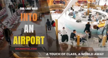 Exploring Airport Access: Can I Just Walk In?