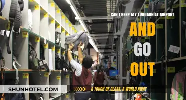 Exploring Hands-Free: Storing Luggage at Airports