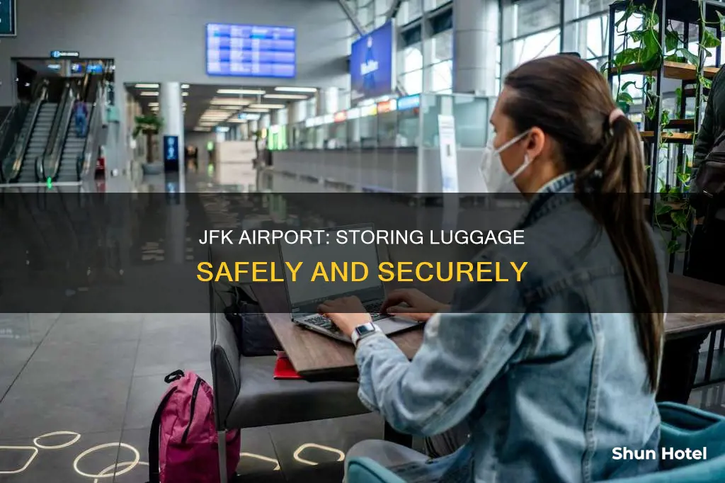 can i keep my luggage at the airport jfk