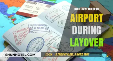 Exploring Abu Dhabi During a Layover: What You Need to Know