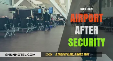 Exploring the Airport: Pre-Flight Security Clearance