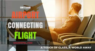 Navigating Airport Connections: Can I Leave?