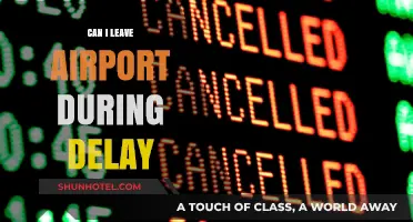 Unexpected Layovers: Exploring Beyond the Airport During Delays