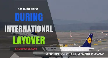 Exploring During Layovers: Can You Leave the Airport?