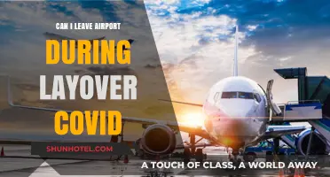 Airport Layover and COVID: Can I Leave?