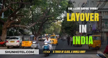 Exploring India During a Layover: What You Need to Know
