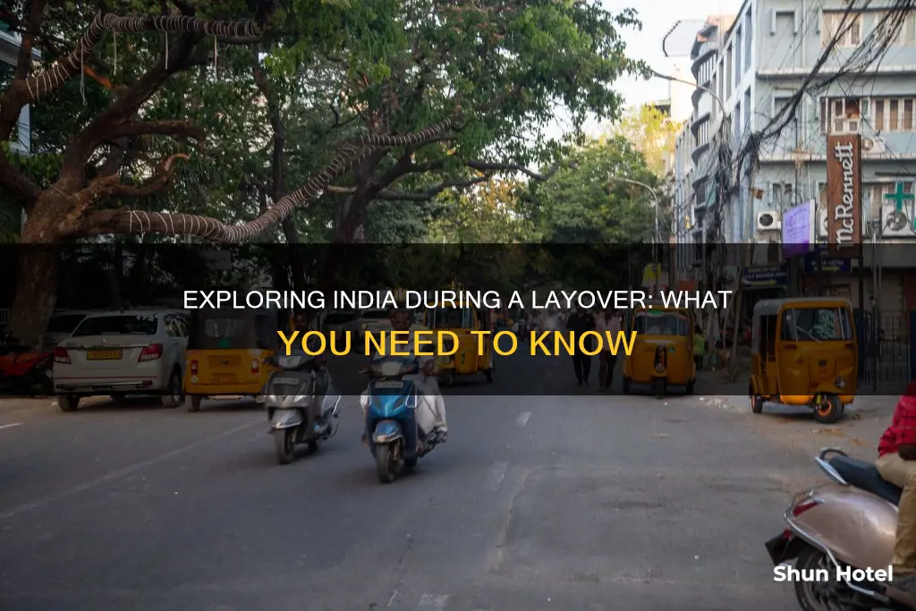 can i leave airport during layover in india