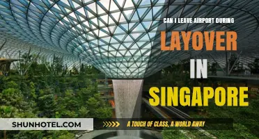 Exploring Singapore During a Layover: What You Need to Know