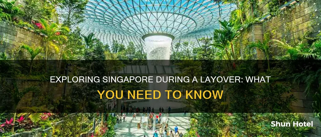 can i leave airport during layover in singapore