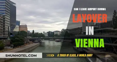 Exploring Vienna During a Layover: What You Need to Know