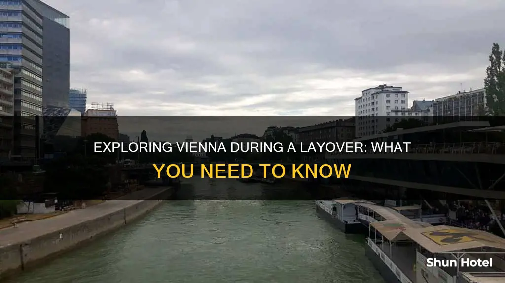 can i leave airport during layover in vienna