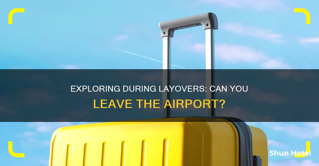 can i leave airport during layover international