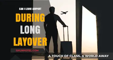 Exploring Beyond the Airport During Layovers