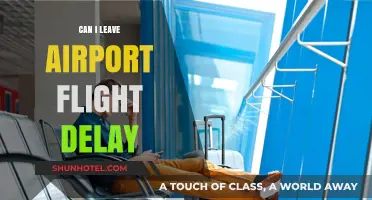 Flight Delays: Can I Leave the Airport?