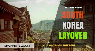 Exploring South Korea: Layover Edition
