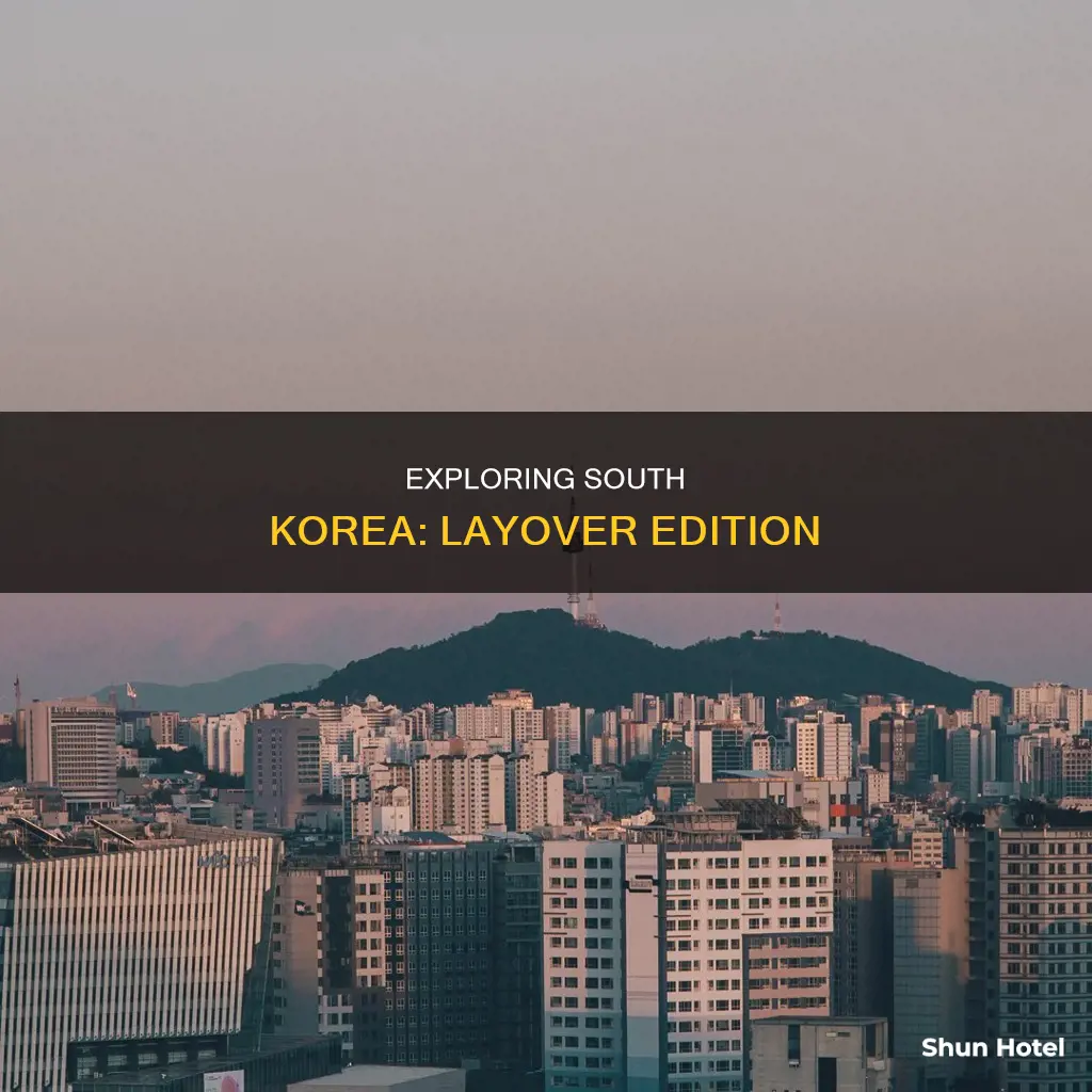 can i leave airport south korea layover