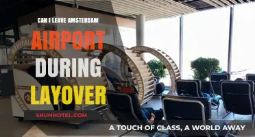 Amsterdam Layover: Can I Leave the Airport?