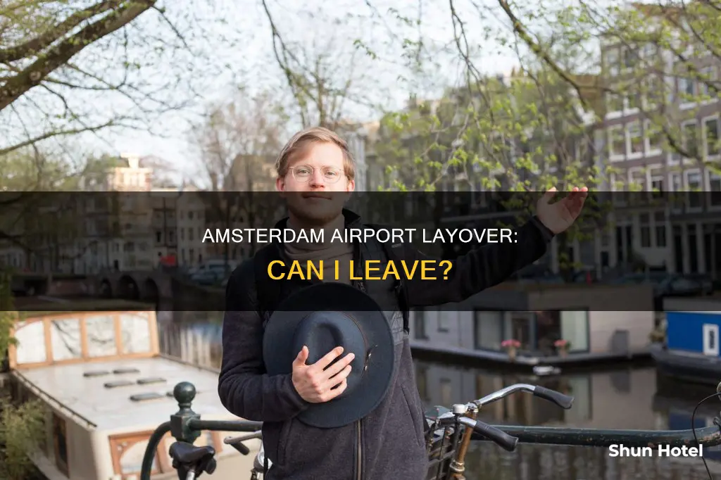 can i leave amsterdam airport on a layover us passport