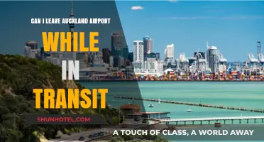 Auckland Airport Transit: Can I Leave the Airport?