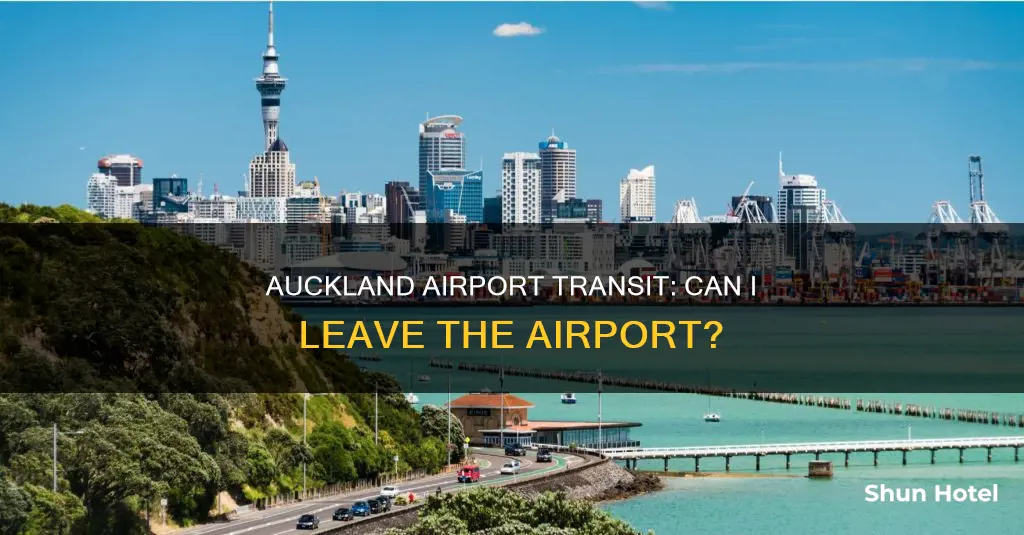 can i leave auckland airport while in transit
