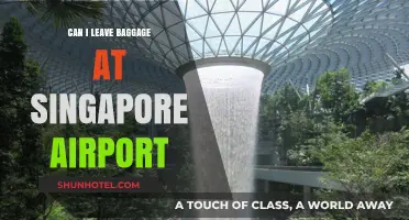 Singapore Airport: Leaving Baggage Behind