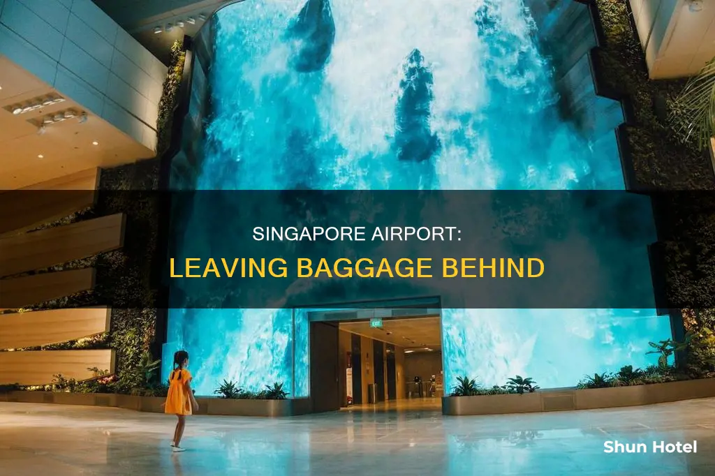 can i leave baggage at singapore airport