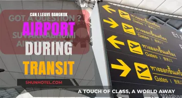 Exploring Bangkok During a Layover: What You Need to Know