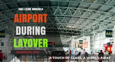 Exploring Brussels During a Layover: Is It Possible?