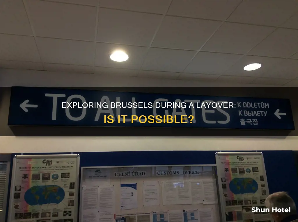 can i leave brussels airport during layover