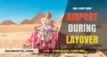 Exploring Cairo During a Layover: Is It Possible?