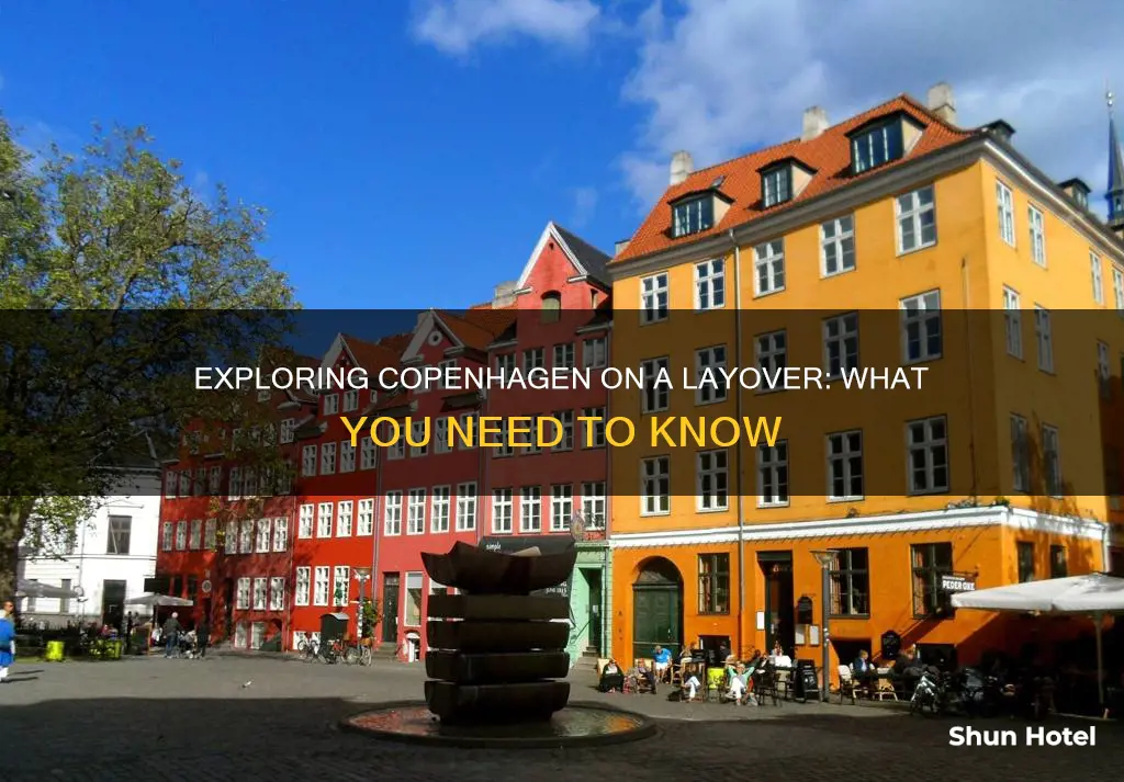 can i leave copenhagen airport during layover