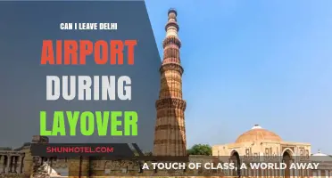 Exploring Delhi During a Layover: Can You Leave the Airport?