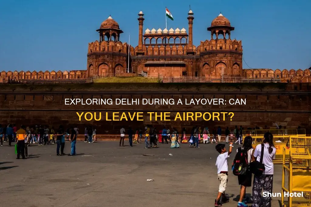 can i leave delhi airport during layover
